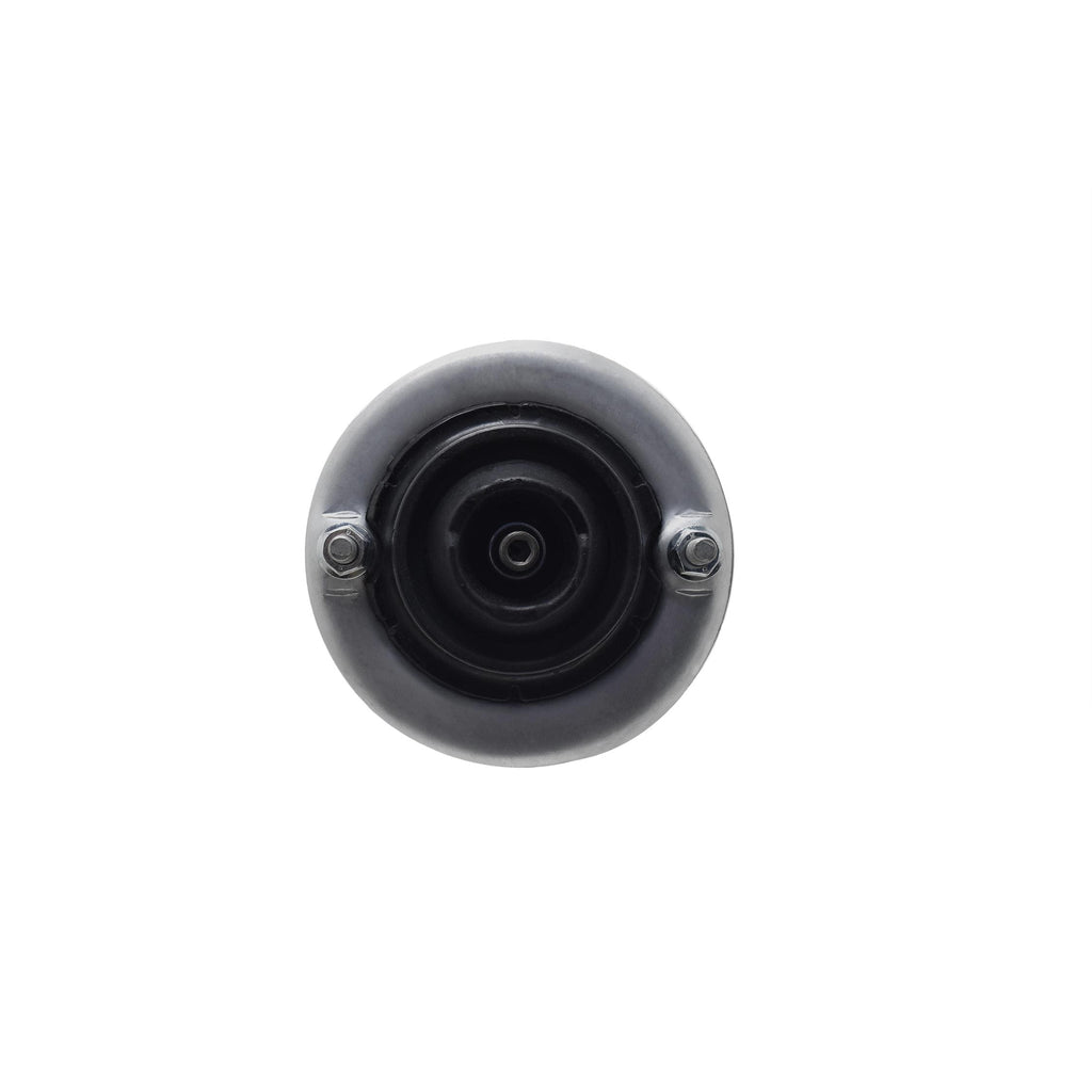 Suspension Strut and Coil Spring Assembly LS53-92481R