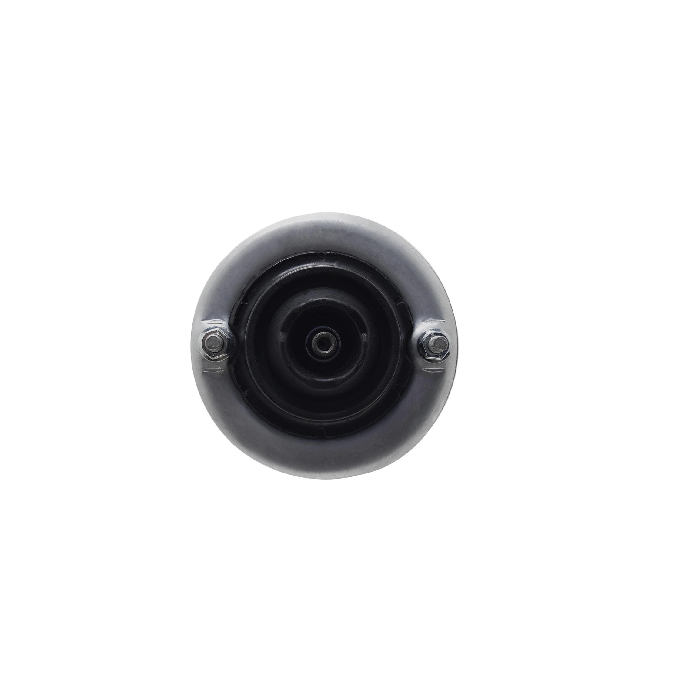 Suspension Strut and Coil Spring Assembly LS53-92481R