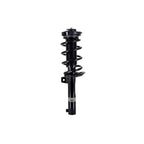 Suspension Strut and Coil Spring Assembly LS53-92511B