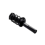 Suspension Strut and Coil Spring Assembly LS53-92511B