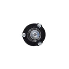 Suspension Strut and Coil Spring Assembly LS53-92521R