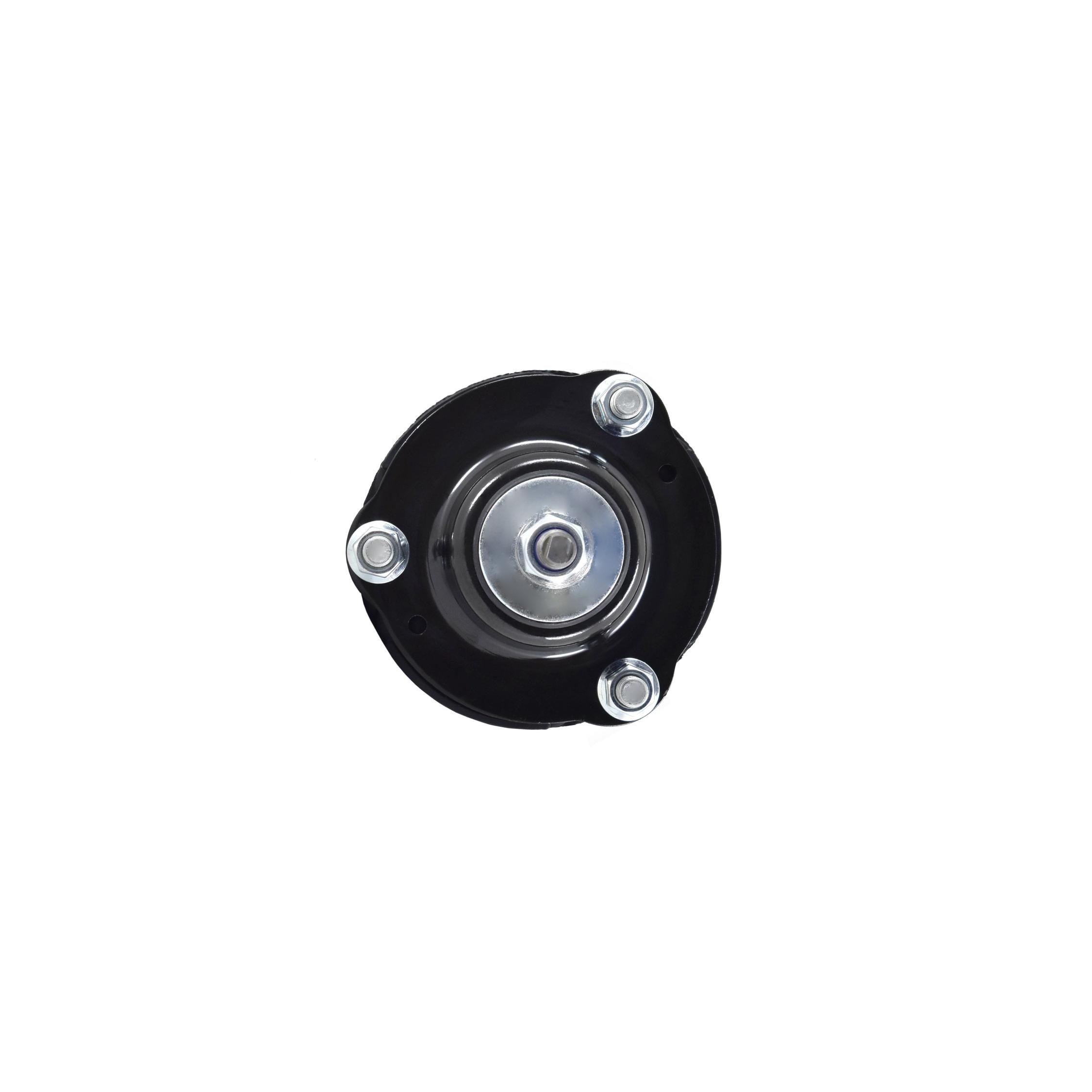 Suspension Strut and Coil Spring Assembly LS53-92521R