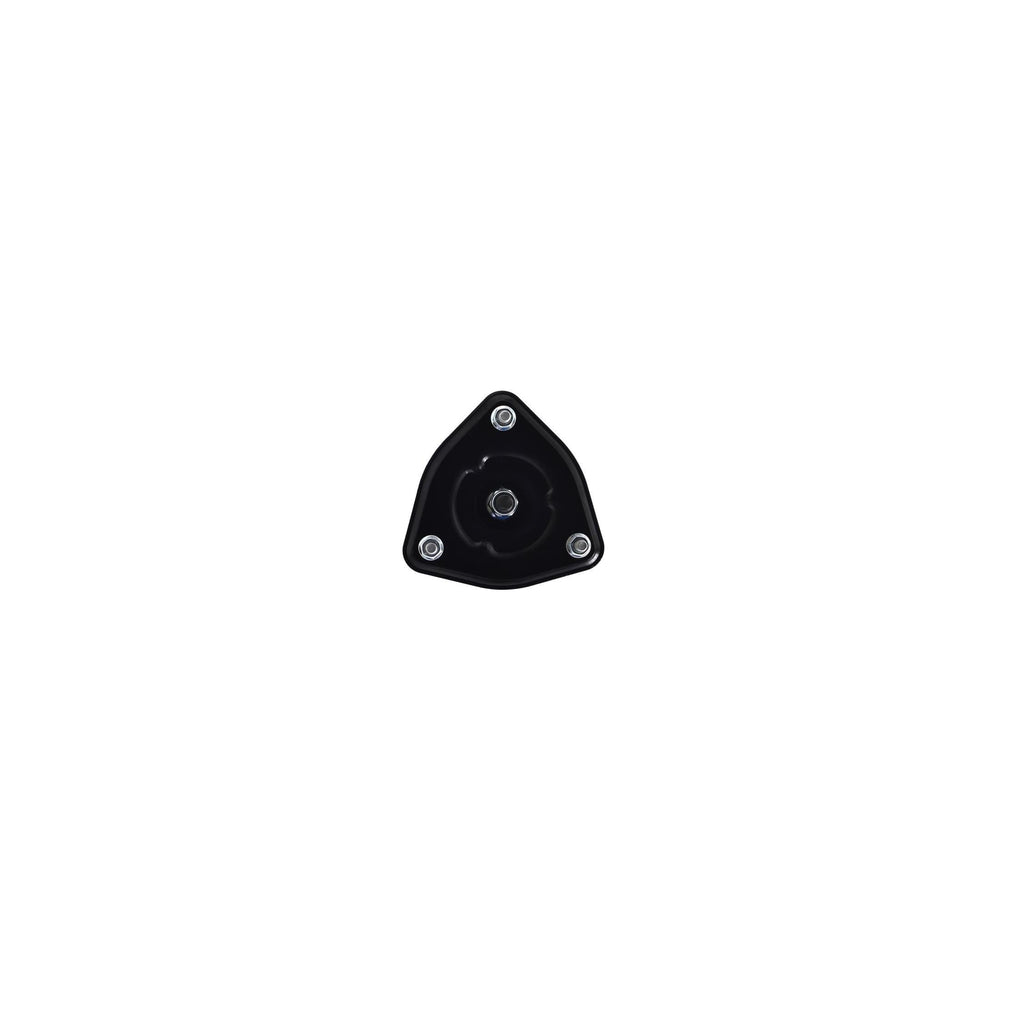 Suspension Strut and Coil Spring Assembly LS53-92581R