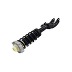 Suspension Strut and Coil Spring Assembly LS53-92591R