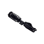 Suspension Strut and Coil Spring Assembly LS53-92641L