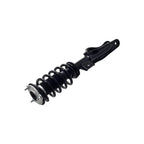 Suspension Strut and Coil Spring Assembly LS53-92641L