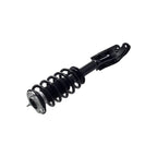 Suspension Strut and Coil Spring Assembly LS53-92641R