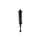 Suspension Strut and Coil Spring Assembly LS53-92681R