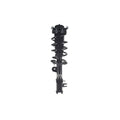 Suspension Strut and Coil Spring Assembly LS53-92811R