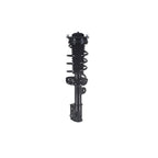 Suspension Strut and Coil Spring Assembly LS53-92811R