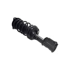 Suspension Strut and Coil Spring Assembly LS53-92811R