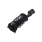 Suspension Strut and Coil Spring Assembly LS53-92811R