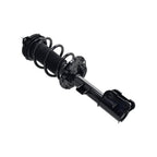 Suspension Strut and Coil Spring Assembly LS53-92821L