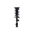 Suspension Strut and Coil Spring Assembly LS53-92821R