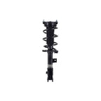 Suspension Strut and Coil Spring Assembly LS53-92821R