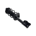 Suspension Strut and Coil Spring Assembly LS53-92821R