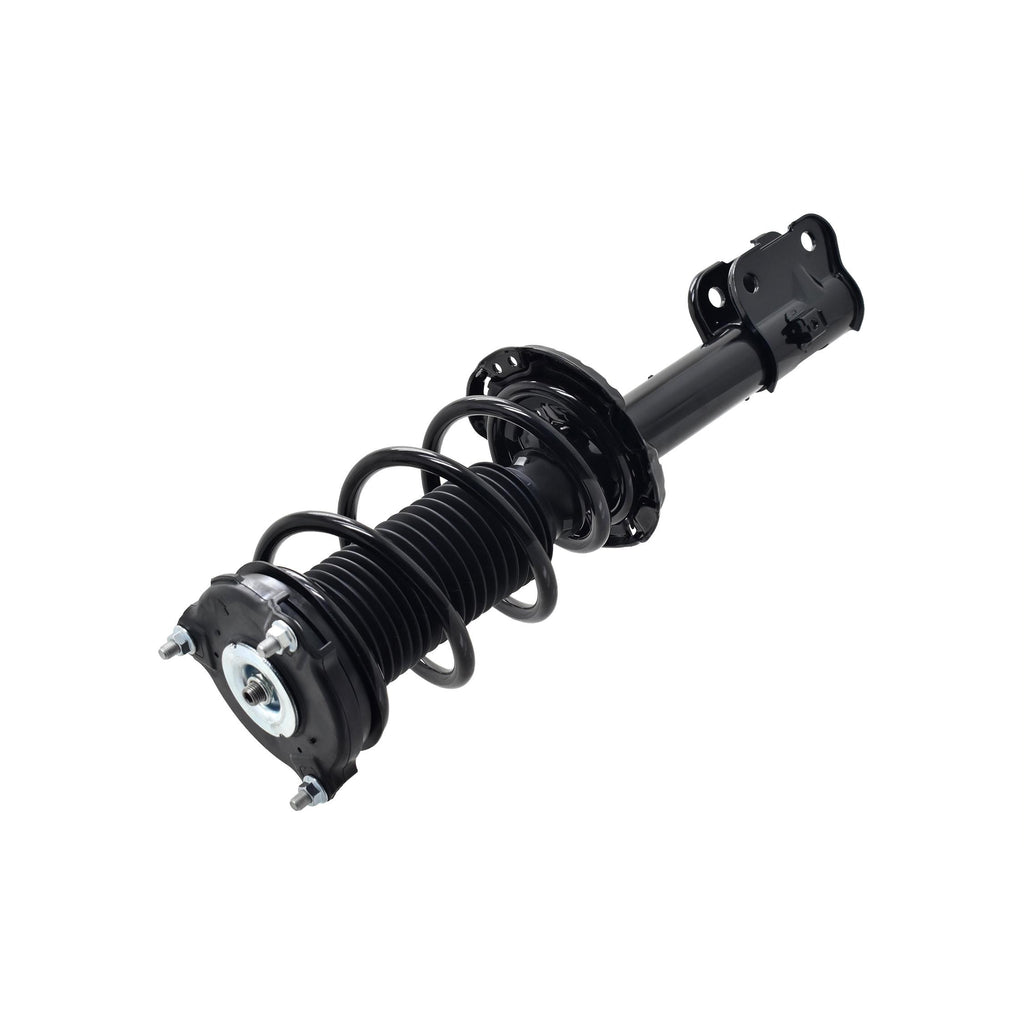 Suspension Strut and Coil Spring Assembly LS53-92821R
