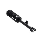 Suspension Strut and Coil Spring Assembly LS53-92841L