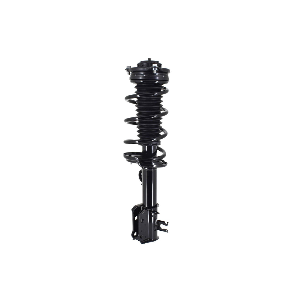 Suspension Strut and Coil Spring Assembly LS53-92881R