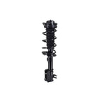 Suspension Strut and Coil Spring Assembly LS53-92881R