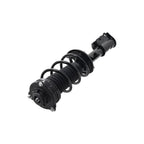Suspension Strut and Coil Spring Assembly LS53-92881R
