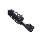 Suspension Strut and Coil Spring Assembly LS53-92921L