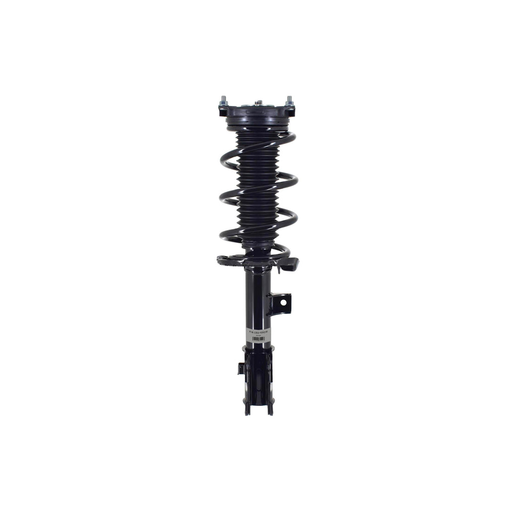 Suspension Strut and Coil Spring Assembly LS53-92921R