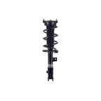 Suspension Strut and Coil Spring Assembly LS53-92921R