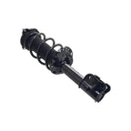 Suspension Strut and Coil Spring Assembly LS53-92921R