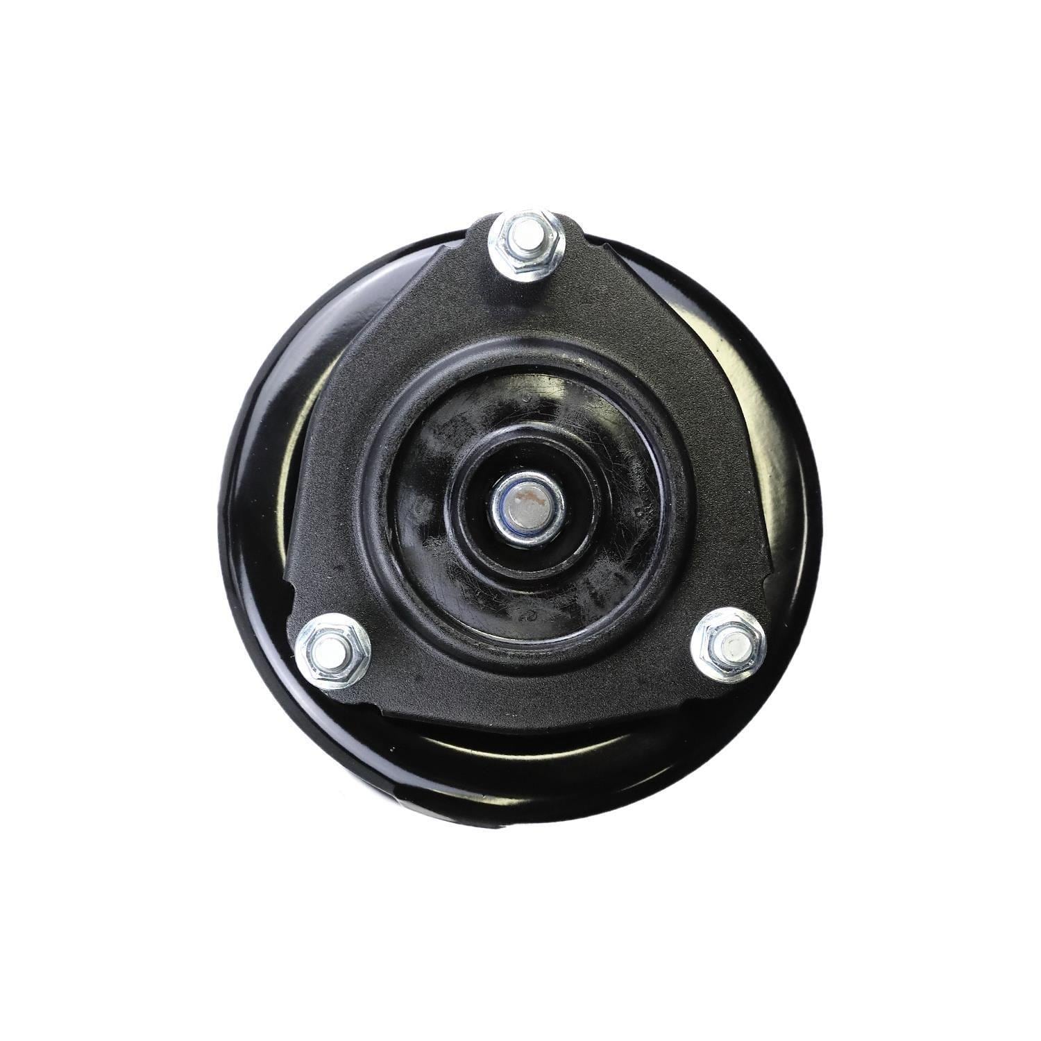 Suspension Strut and Coil Spring Assembly LS54-94101R