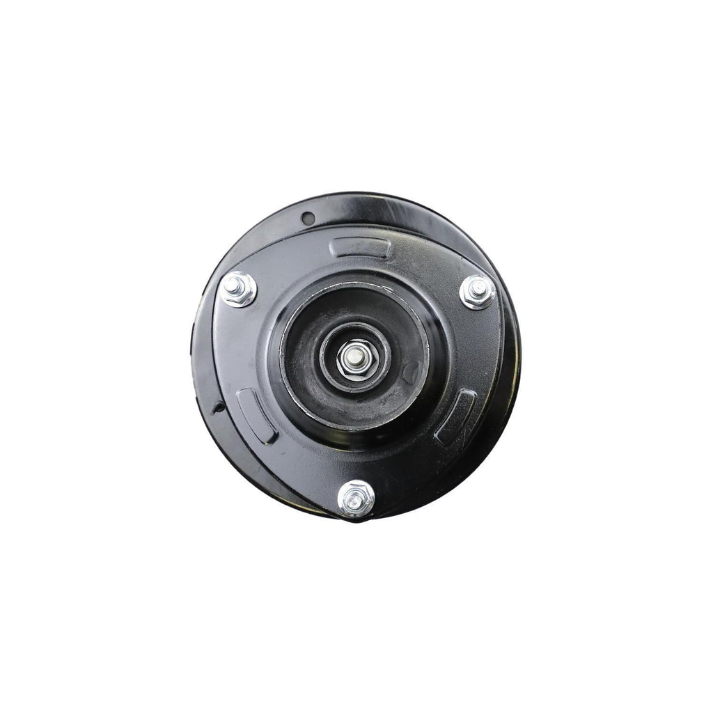 Suspension Strut and Coil Spring Assembly LS54-94311R