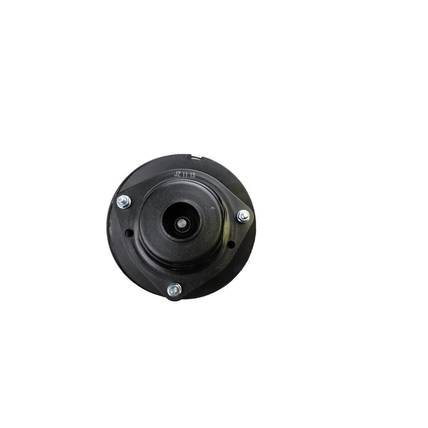Suspension Strut and Coil Spring Assembly LS54-94381R