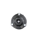 Suspension Strut and Coil Spring Assembly LS54-94491L