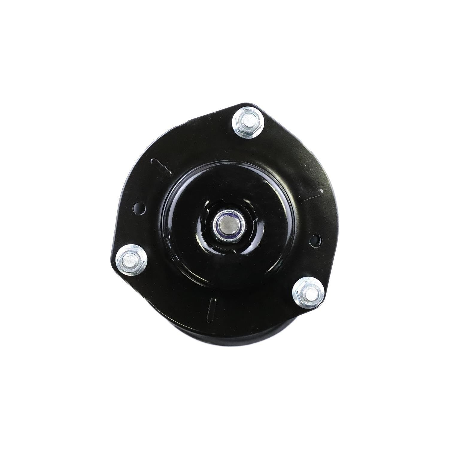 Suspension Strut and Coil Spring Assembly LS54-94541L