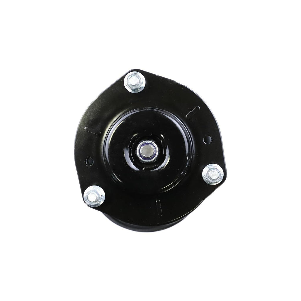 Suspension Strut and Coil Spring Assembly LS54-94541R