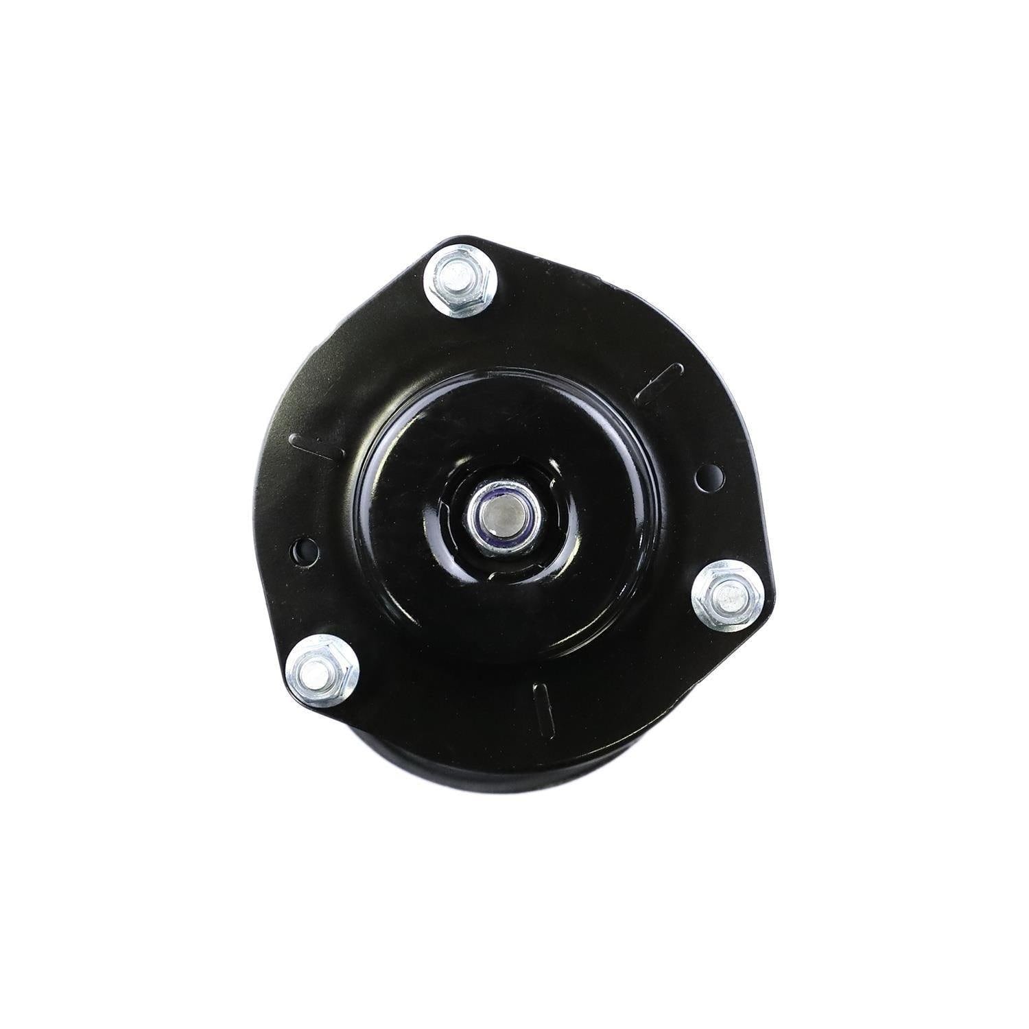 Suspension Strut and Coil Spring Assembly LS54-94541R
