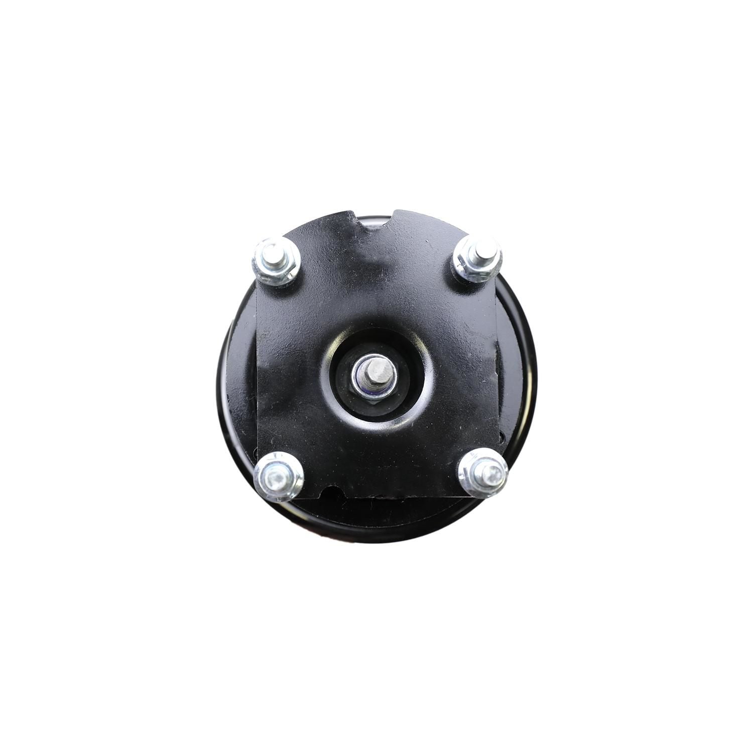 Loaded Strut Assembly LS54-94811R