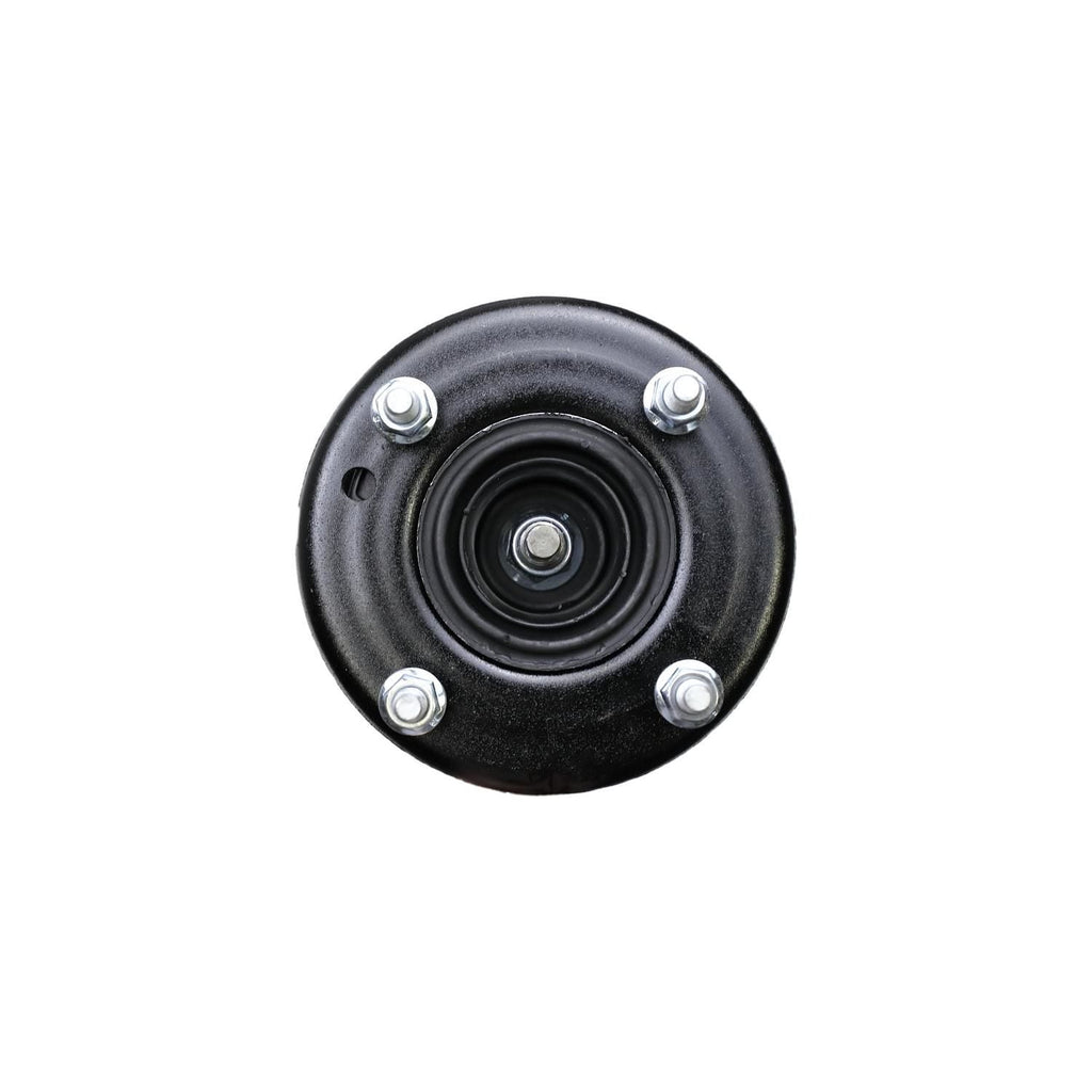 Suspension Strut and Coil Spring Assembly LS54-94861L