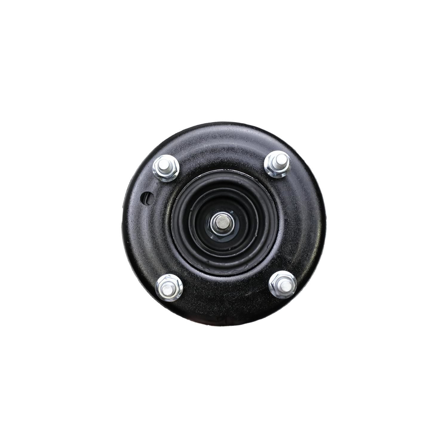 Suspension Strut and Coil Spring Assembly LS54-94861L