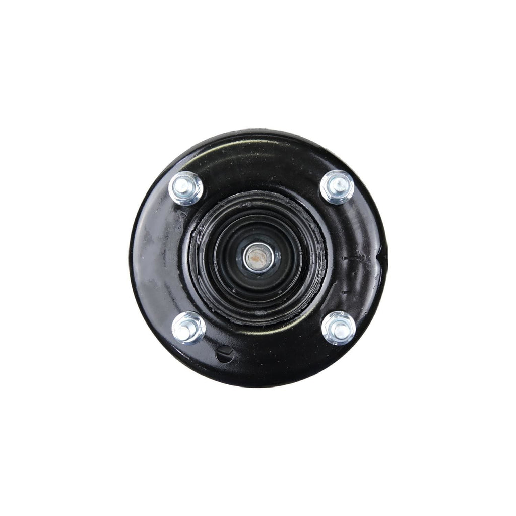 Loaded Strut Assembly LS54-94891L