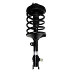 Suspension Strut and Coil Spring Assembly LS54-95001R