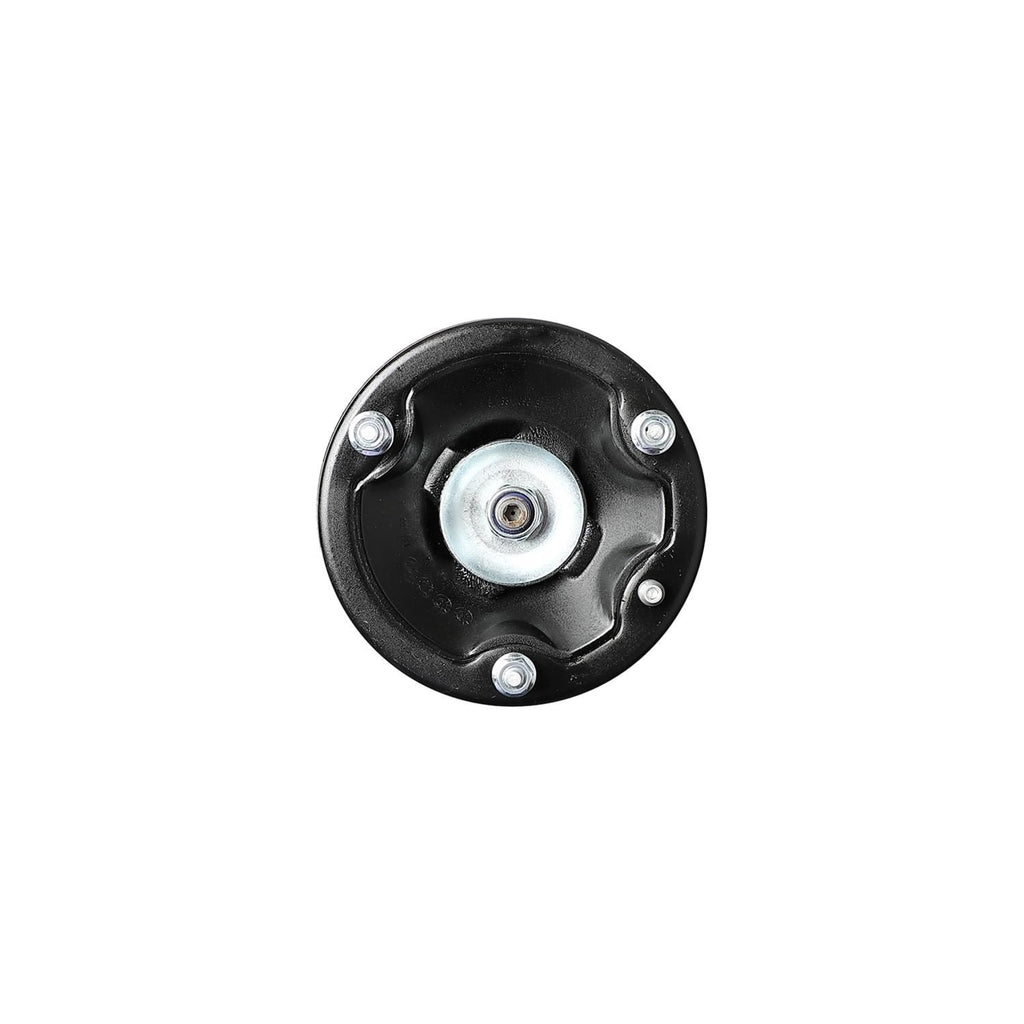 Suspension Strut and Coil Spring Assembly LS54-95011L