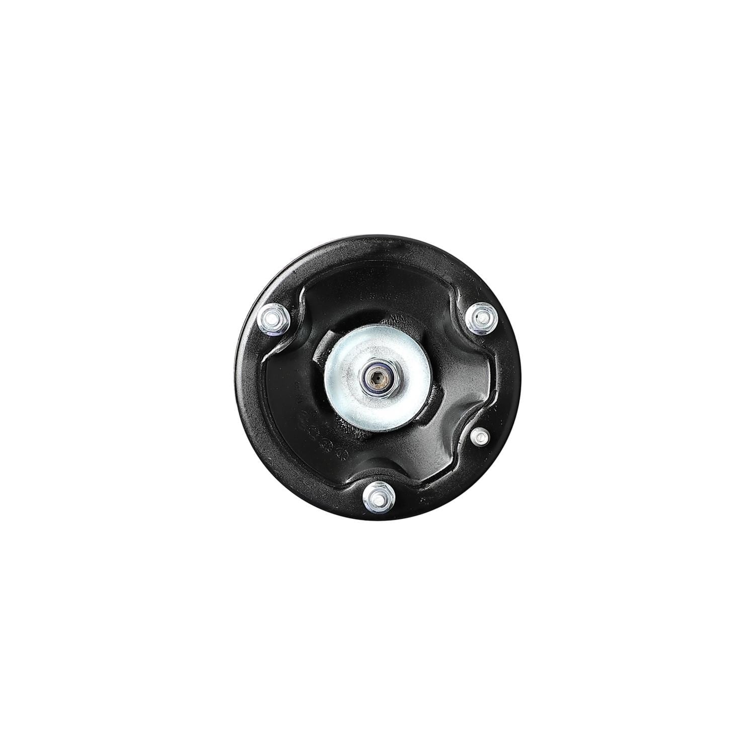 Suspension Strut and Coil Spring Assembly LS54-95011R