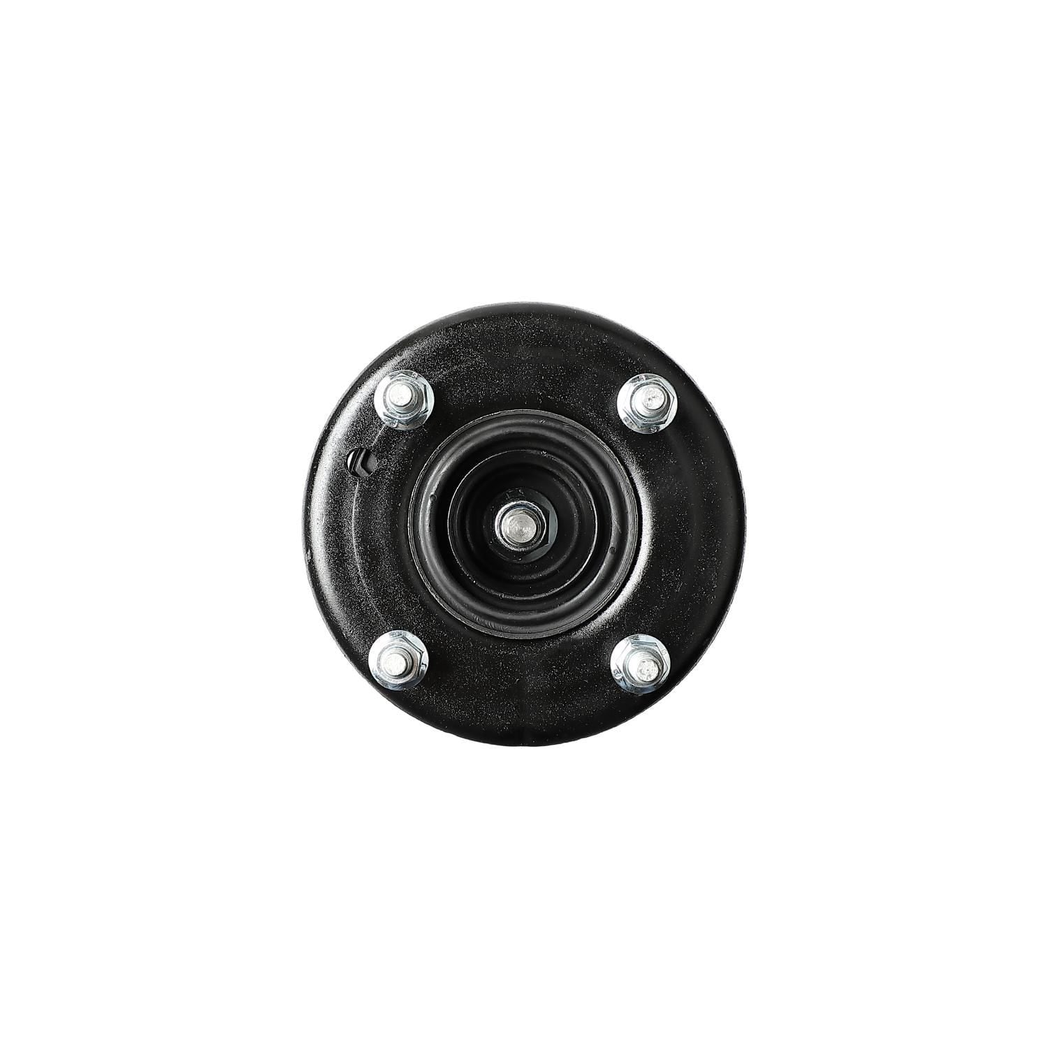 Suspension Strut and Coil Spring Assembly LS54-95021R