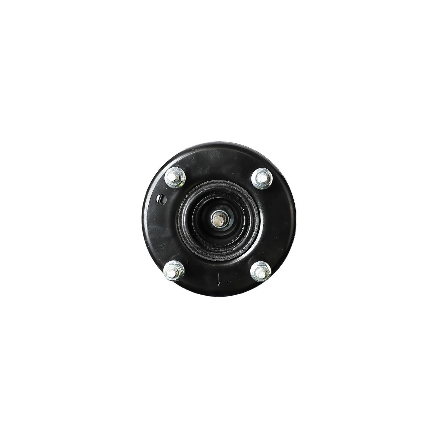 Loaded Strut LS54-95061L