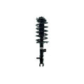 Loaded Strut LS54-95191L