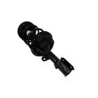 Suspension Strut and Coil Spring Assembly LS54-95211R