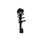 Suspension Strut and Coil Spring Assembly LS54-95211R