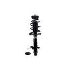 Suspension Strut and Coil Spring Assembly LS54-95341R