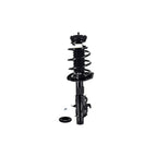 Suspension Strut and Coil Spring Assembly LS54-95341R